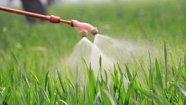 Pesticide și îngrășăminte